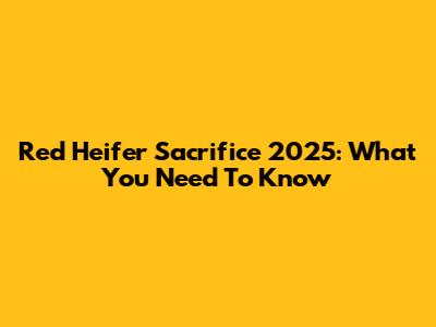 Red Heifer Sacrifice 2025: What You Need To Know