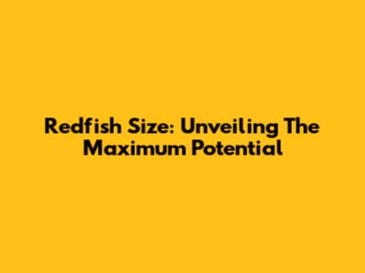 Redfish Size: Unveiling The Maximum Potential