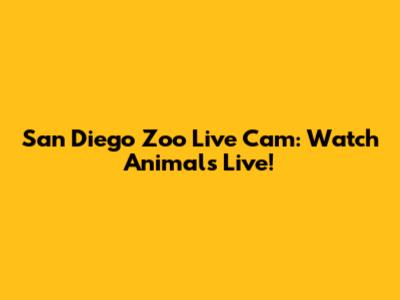 San Diego Zoo Live Cam: Watch Animals Live!
