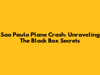 Sao Paulo Plane Crash: Unraveling The Black Box Secrets