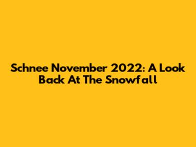 Schnee November 2022: A Look Back At The Snowfall