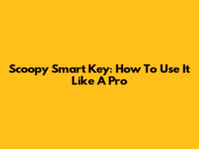 Scoopy Smart Key: How To Use It Like A Pro