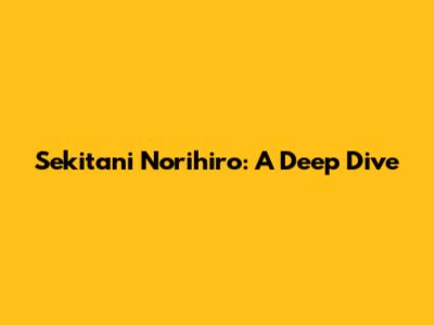 Sekitani Norihiro: A Deep Dive