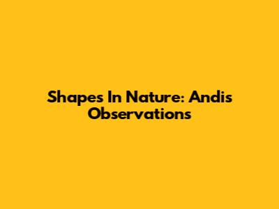 Shapes In Nature: Andi's Observations