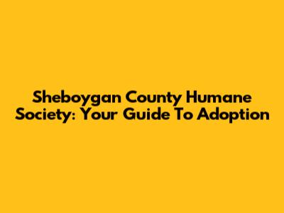 Sheboygan County Humane Society: Your Guide To Adoption
