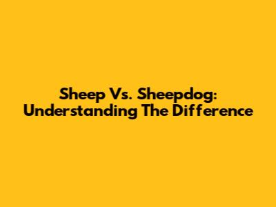 Sheep Vs. Sheepdog: Understanding The Difference