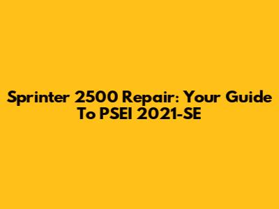 Sprinter 2500 Repair: Your Guide To PSEI 2021-SE