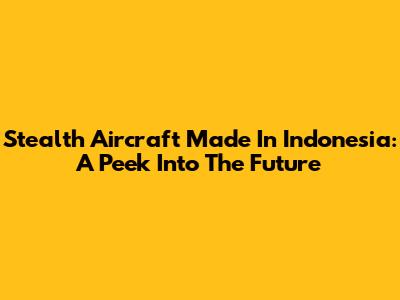 Stealth Aircraft Made In Indonesia: A Peek Into The Future