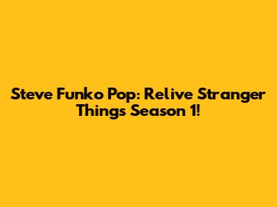 Steve Funko Pop: Relive Stranger Things Season 1!