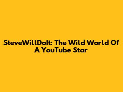 SteveWillDoIt: The Wild World Of A YouTube Star