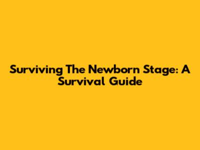 Surviving The Newborn Stage: A Survival Guide