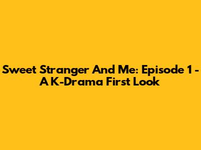 Sweet Stranger And Me: Episode 1 - A K-Drama First Look