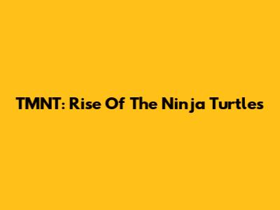 TMNT: Rise Of The Ninja Turtles