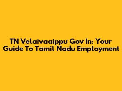 TN Velaivaaippu Gov In: Your Guide To Tamil Nadu Employment