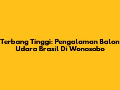 Terbang Tinggi: Pengalaman Balon Udara Brasil Di Wonosobo