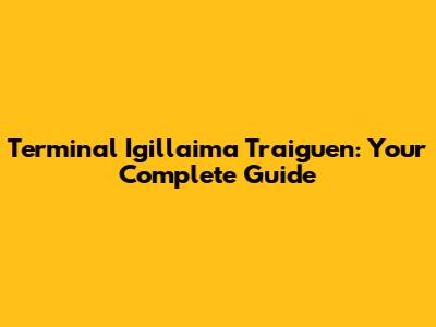 Terminal Igillaima Traiguen: Your Complete Guide