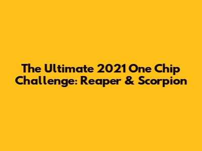 The Ultimate 2021 One Chip Challenge: Reaper & Scorpion