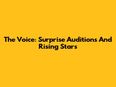 The Voice: Surprise Auditions And Rising Stars