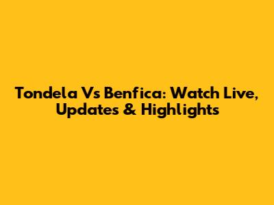 Tondela Vs Benfica: Watch Live, Updates & Highlights