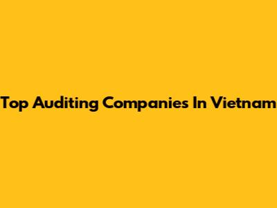 Top Auditing Companies In Vietnam