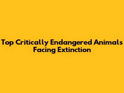 Top Critically Endangered Animals Facing Extinction