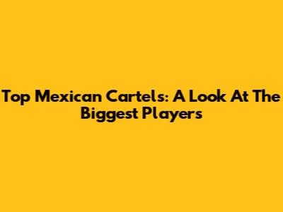 Top Mexican Cartels: A Look At The Biggest Players