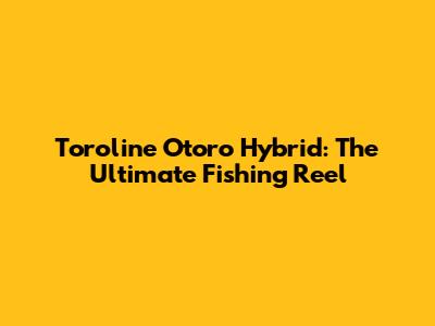 Toroline Otoro Hybrid: The Ultimate Fishing Reel