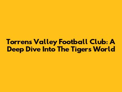 Torrens Valley Football Club: A Deep Dive Into The Tigers' World