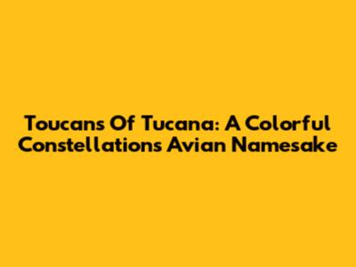 Toucans Of Tucana: A Colorful Constellation's Avian Namesake