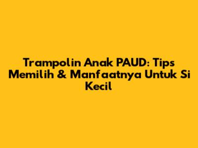 Trampolin Anak PAUD: Tips Memilih & Manfaatnya Untuk Si Kecil