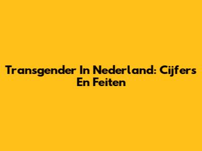 Transgender In Nederland: Cijfers En Feiten