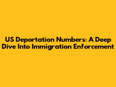 US Deportation Numbers: A Deep Dive Into Immigration Enforcement