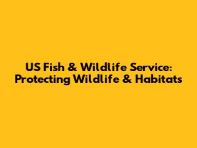 US Fish & Wildlife Service: Protecting Wildlife & Habitats