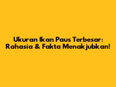 Ukuran Ikan Paus Terbesar: Rahasia & Fakta Menakjubkan!