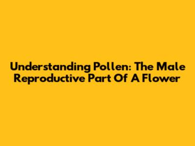 Understanding Pollen: The Male Reproductive Part Of A Flower
