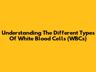 Understanding The Different Types Of White Blood Cells (WBCs)