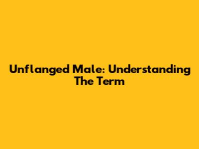 Unflanged Male: Understanding The Term