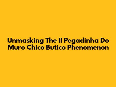 Unmasking The II Pegadinha Do Muro Chico Butico Phenomenon