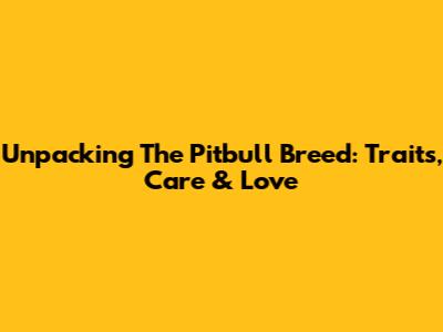 Unpacking The Pitbull Breed: Traits, Care & Love