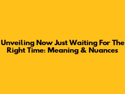 Unveiling 'Now Just Waiting For The Right Time': Meaning & Nuances