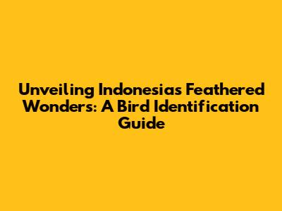 Unveiling Indonesia's Feathered Wonders: A Bird Identification Guide