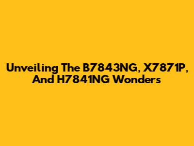Unveiling The B7843NG, X7871P, And H7841NG Wonders