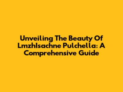 Unveiling The Beauty Of LmzhIsachne Pulchella: A Comprehensive Guide