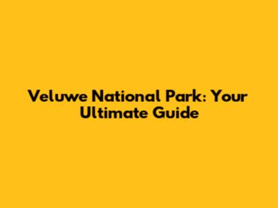 Veluwe National Park: Your Ultimate Guide
