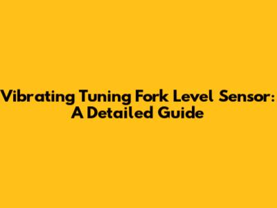 Vibrating Tuning Fork Level Sensor: A Detailed Guide
