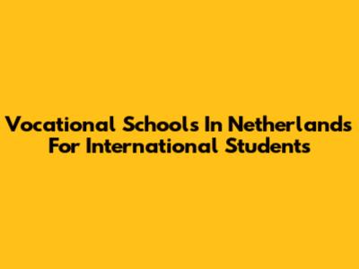 Vocational Schools In Netherlands For International Students