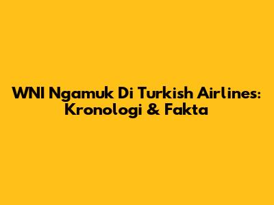 WNI Ngamuk Di Turkish Airlines: Kronologi & Fakta
