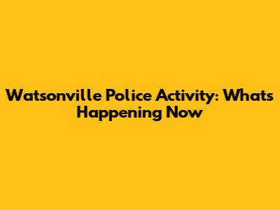 Watsonville Police Activity: What's Happening Now