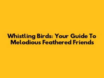 Whistling Birds: Your Guide To Melodious Feathered Friends