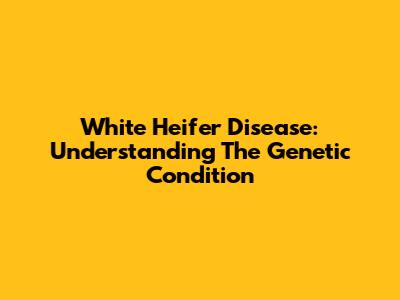 White Heifer Disease: Understanding The Genetic Condition